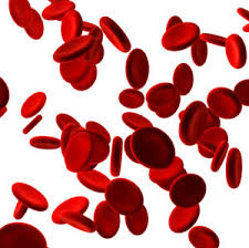 خون شناسی یا هماتولوژی (به انگلیسی: h(a)ematology)