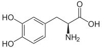 لوودوپا (به انگلیسی: Levodopa) یا L-DOPA