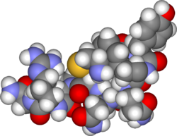 هورمون آنتیدیورتیک (ADH) یا وازوپرسین (به انگلیسی: Vasopressin)